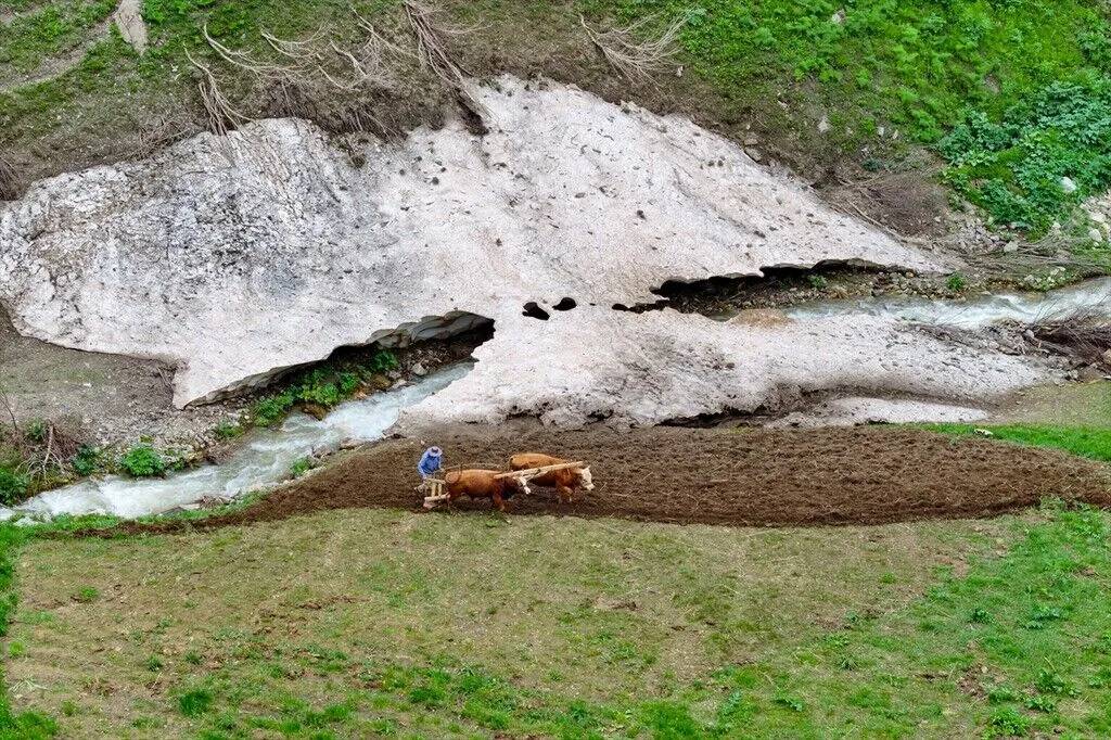 Tarım araçlarının giremediği yamaçlarda karasaban mesaisi 13