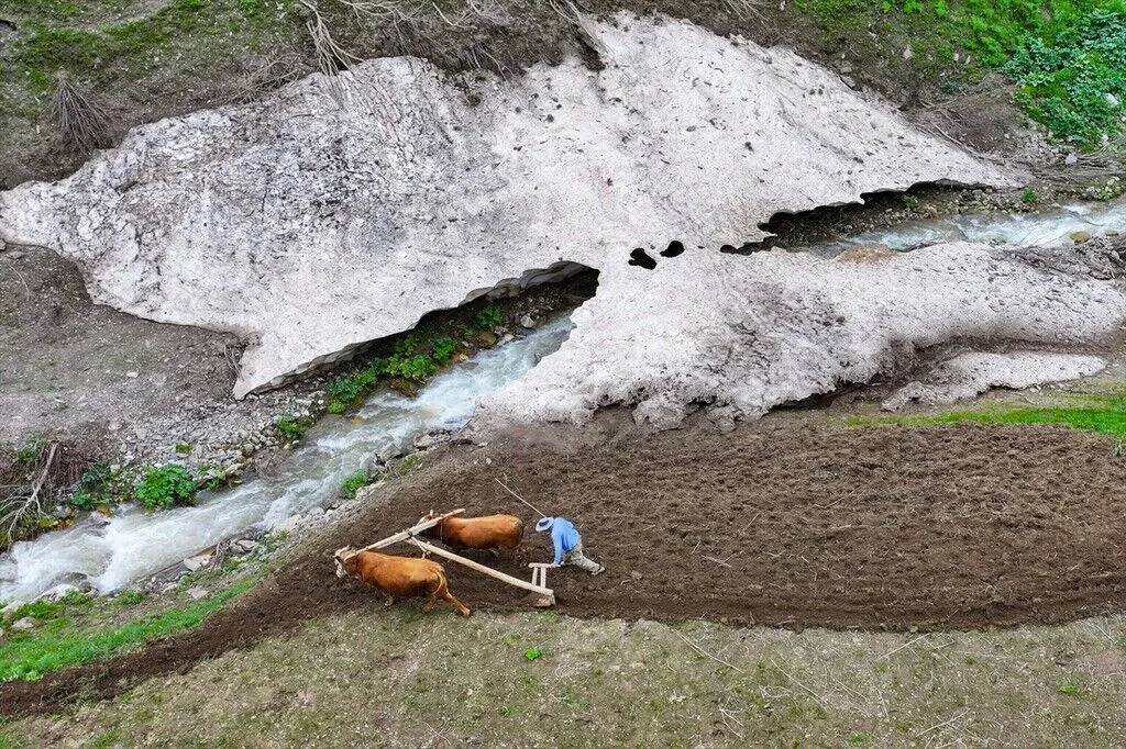 Tarım araçlarının giremediği yamaçlarda karasaban mesaisi 15