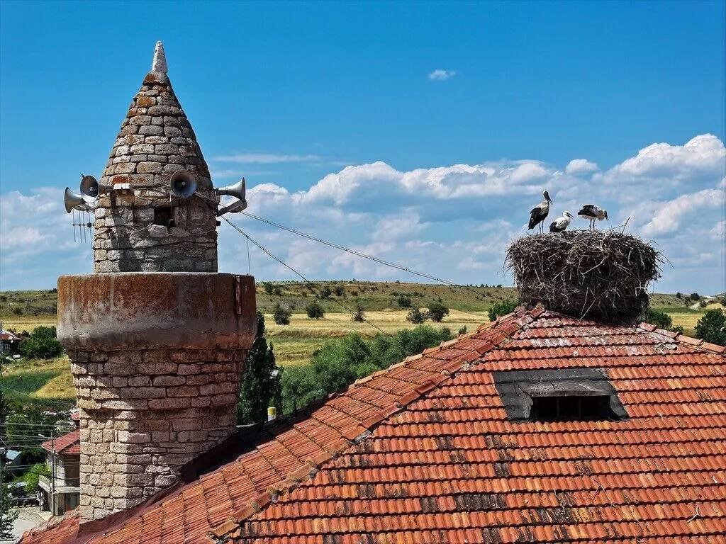 Konya'daki 661 yıllık cami ahşap işçiliğiyle dikkati çekiyor 13