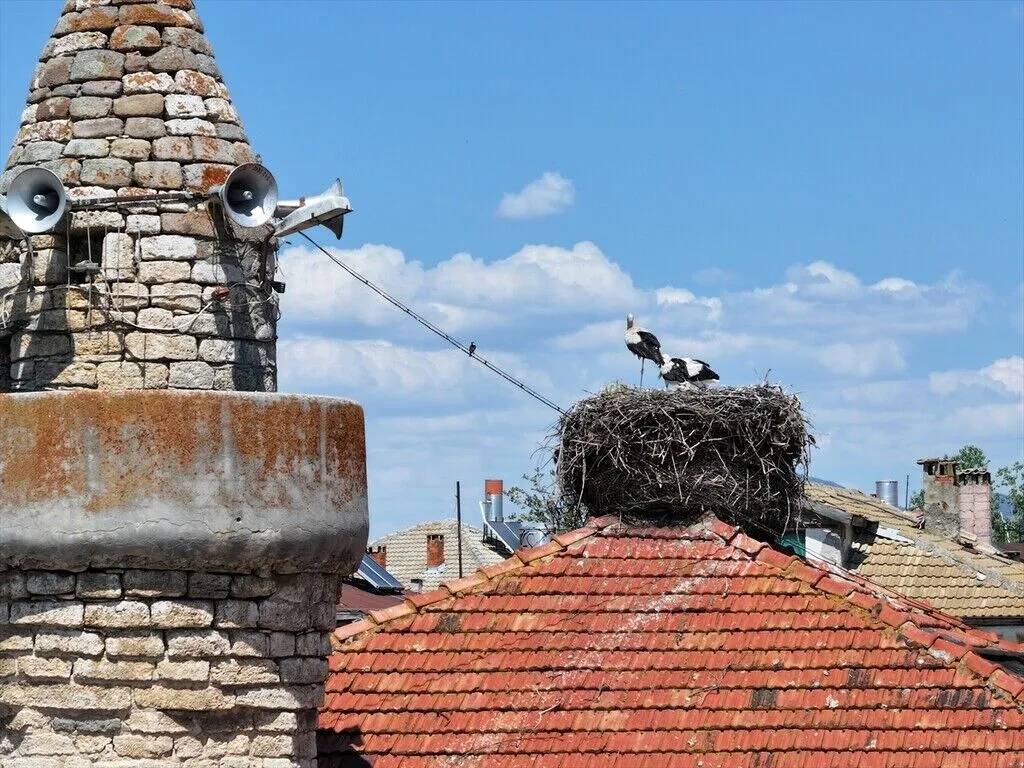 Konya'daki 661 yıllık cami ahşap işçiliğiyle dikkati çekiyor 16