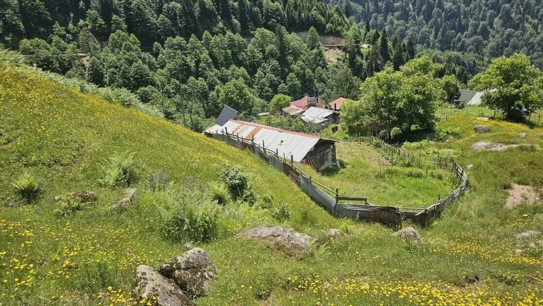 Kaçkar Dağları hâlâ ilkbaharı yaşıyor 1