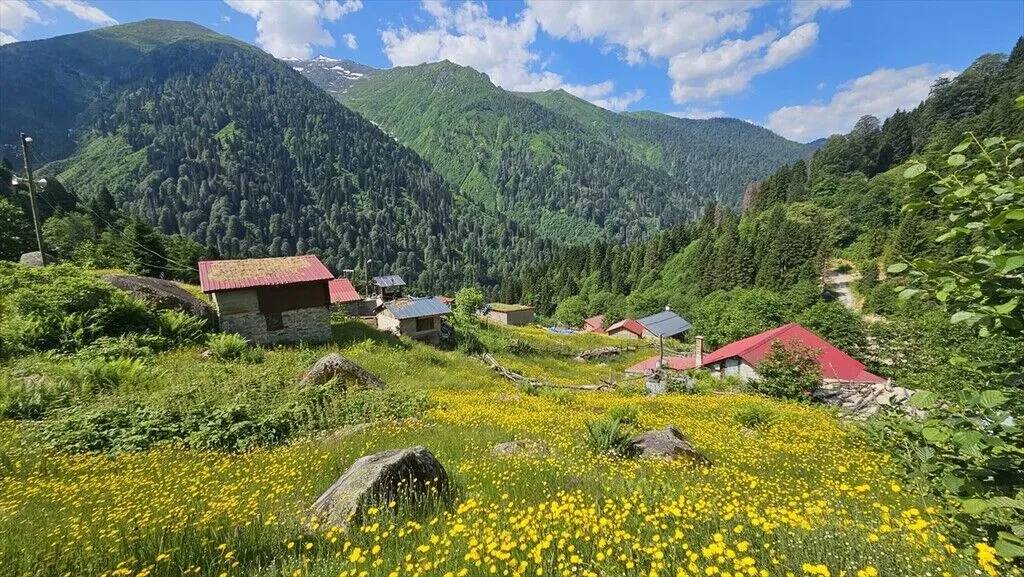 Kaçkar Dağları hâlâ ilkbaharı yaşıyor 3