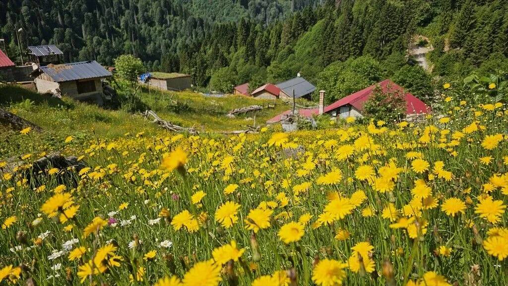 Kaçkar Dağları hâlâ ilkbaharı yaşıyor 4