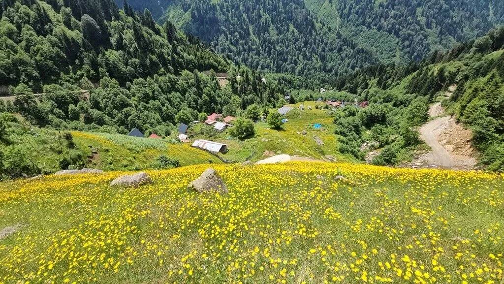Kaçkar Dağları hâlâ ilkbaharı yaşıyor 6