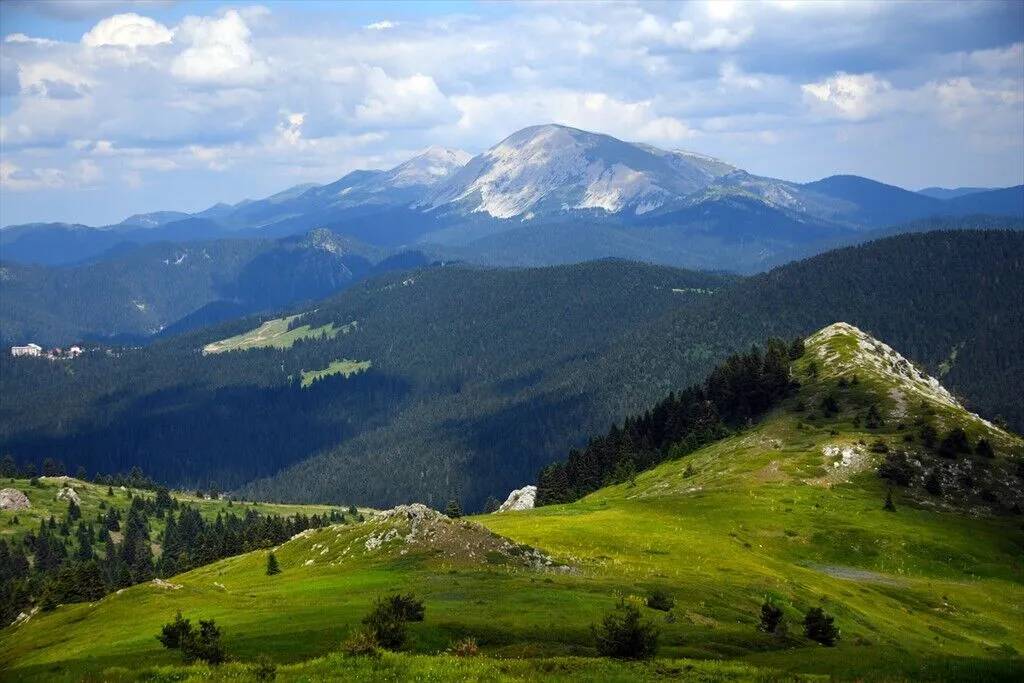 Ilgaz Dağı temmuzda ilkbaharı yaşıyor 15