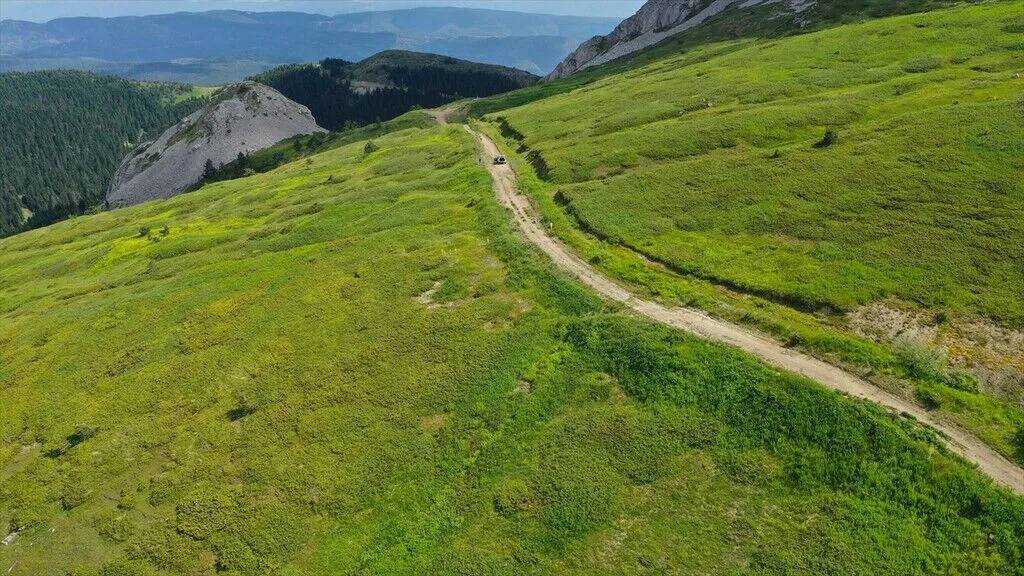 Ilgaz Dağı temmuzda ilkbaharı yaşıyor 4