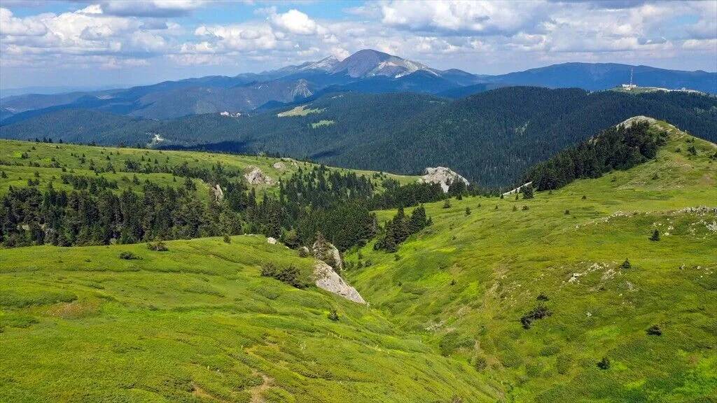 Ilgaz Dağı temmuzda ilkbaharı yaşıyor 6