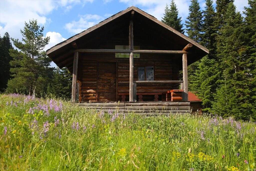 Ilgaz Dağı temmuzda ilkbaharı yaşıyor 8