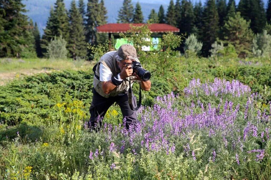Ilgaz Dağı temmuzda ilkbaharı yaşıyor 9