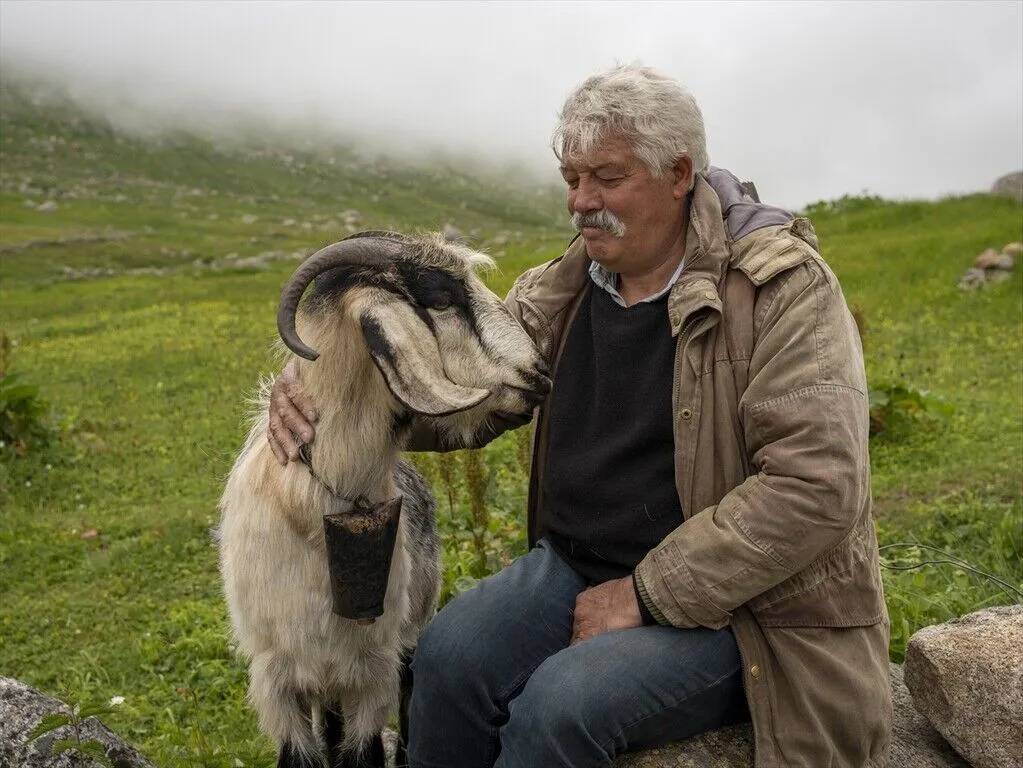 Kaçkar dağlarının yüksek rakımlı yaylalarında günlük hayat 10