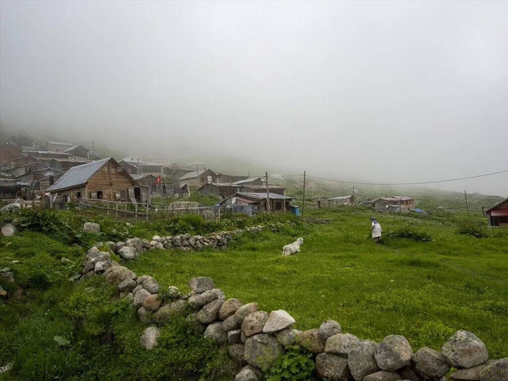 Kaçkar dağlarının yüksek rakımlı yaylalarında günlük hayat 13