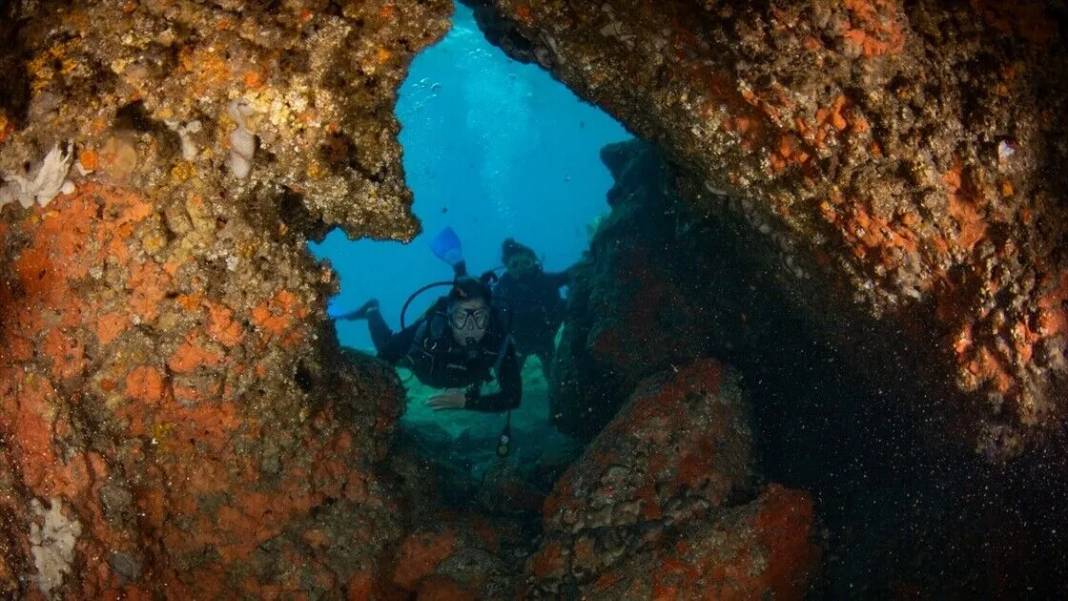 Kuşadası'nın su altı güzelliklerini keşfediyorlar 1