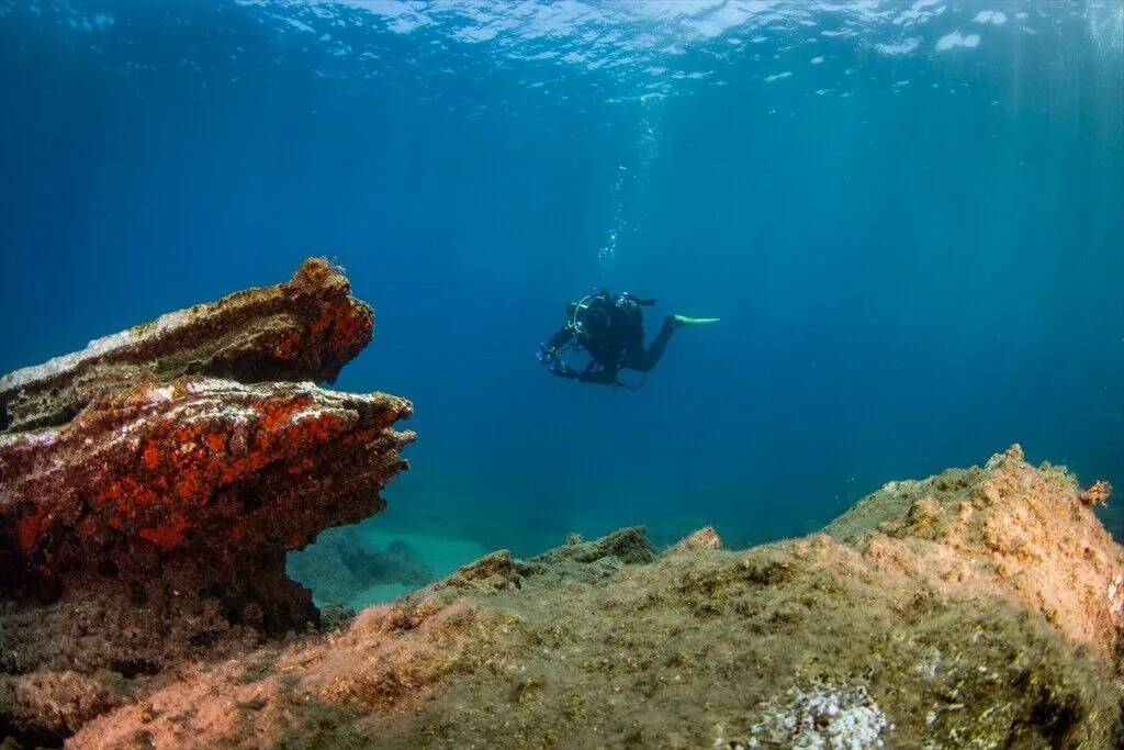 Kuşadası'nın su altı güzelliklerini keşfediyorlar 11