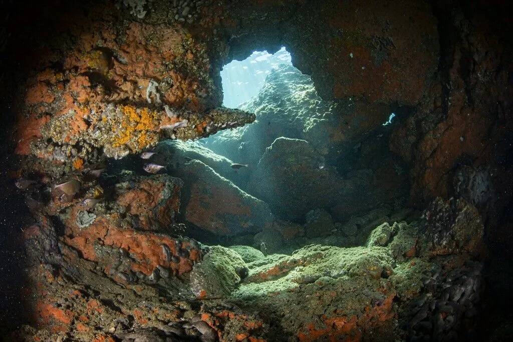 Kuşadası'nın su altı güzelliklerini keşfediyorlar 5