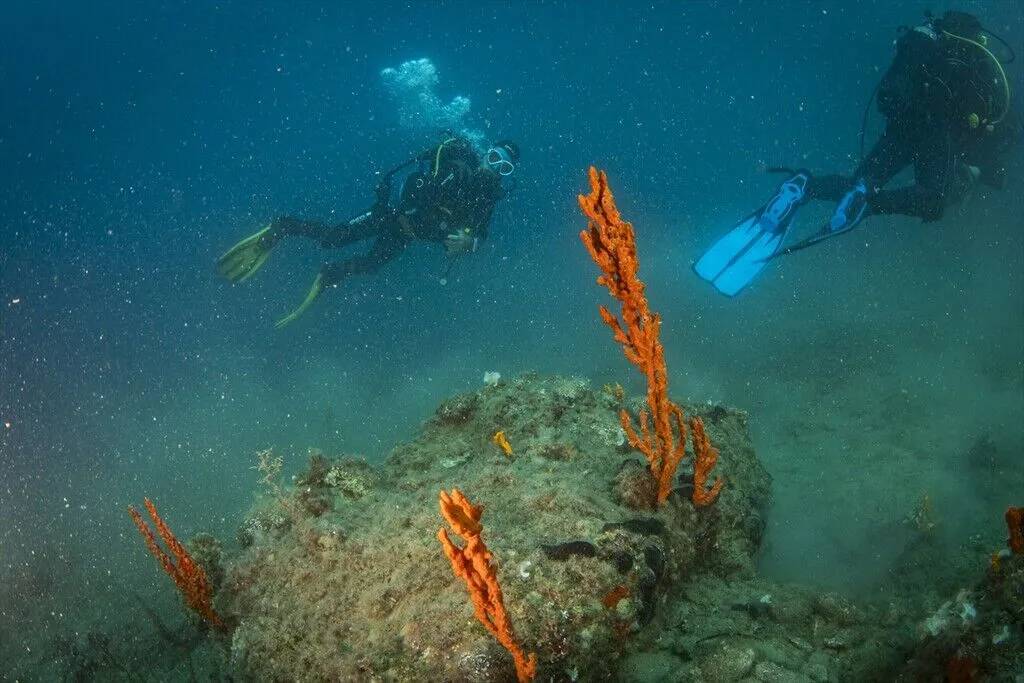 Kuşadası'nın su altı güzelliklerini keşfediyorlar 6