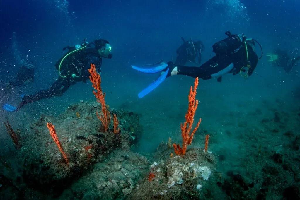 Kuşadası'nın su altı güzelliklerini keşfediyorlar 9