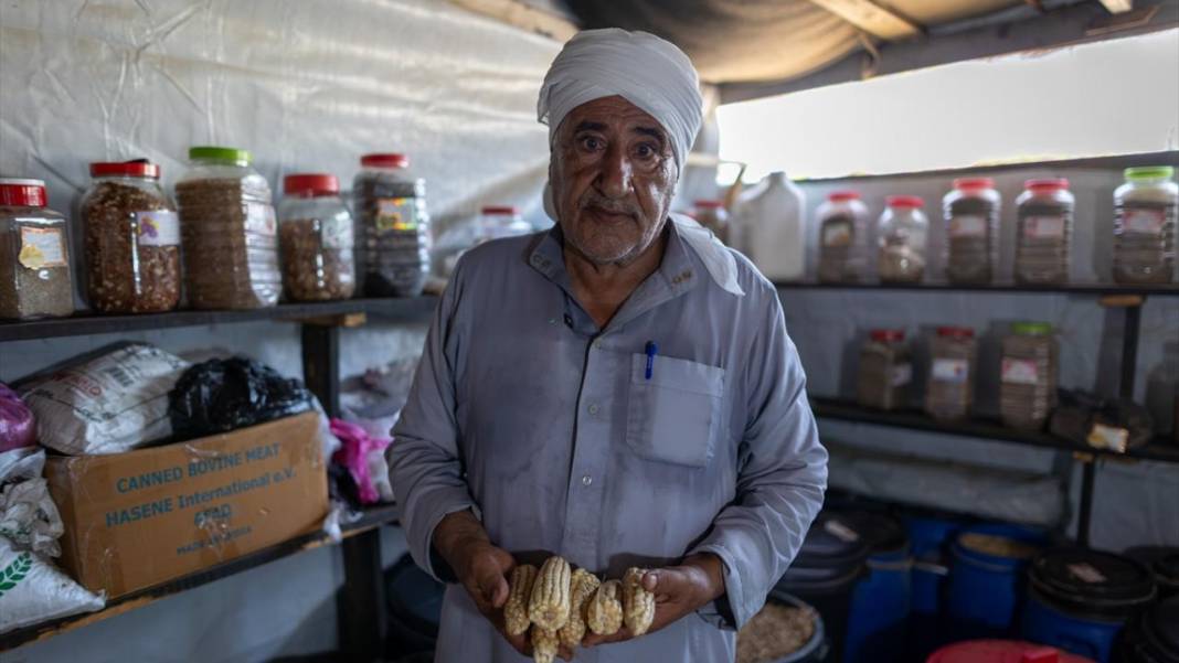 Gazzeliler, toprağa atılan 'yerli tohumlarla' israil işgaline direnmeye çalışıyor 10