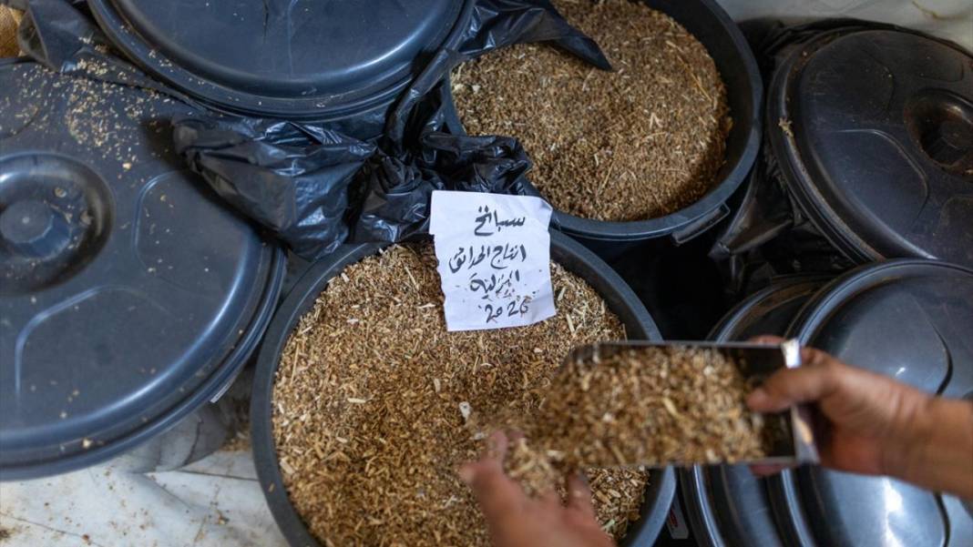 Gazzeliler, toprağa atılan 'yerli tohumlarla' israil işgaline direnmeye çalışıyor 7