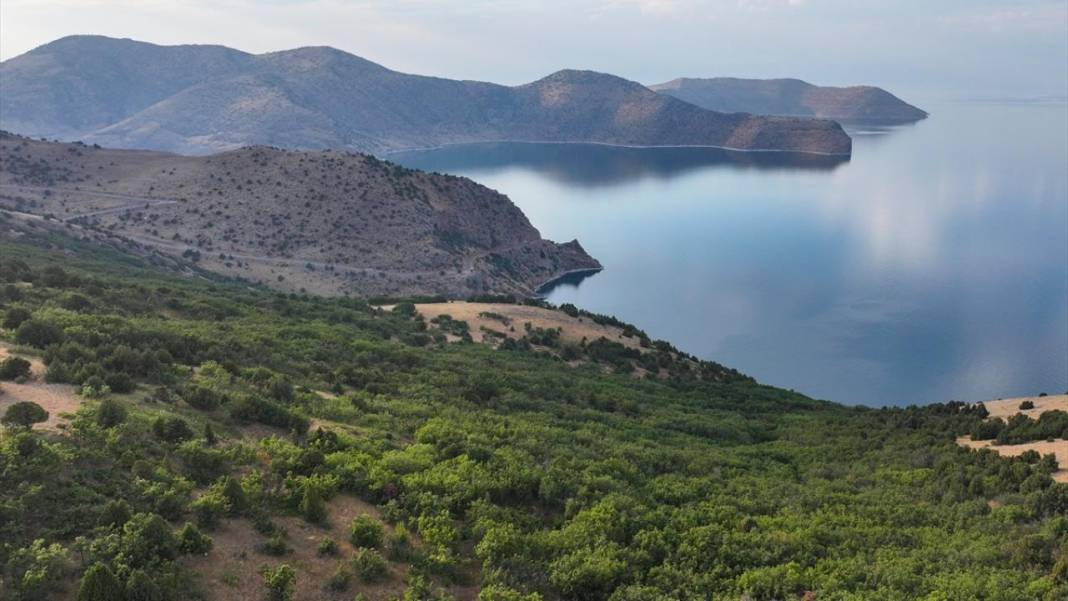 Van Gölü Deveboynu Yarımadası milli park ilan edildi 11