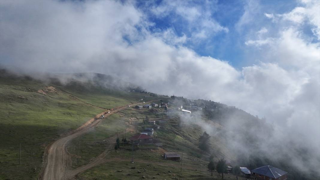 Düzce'nin yaylaları 10