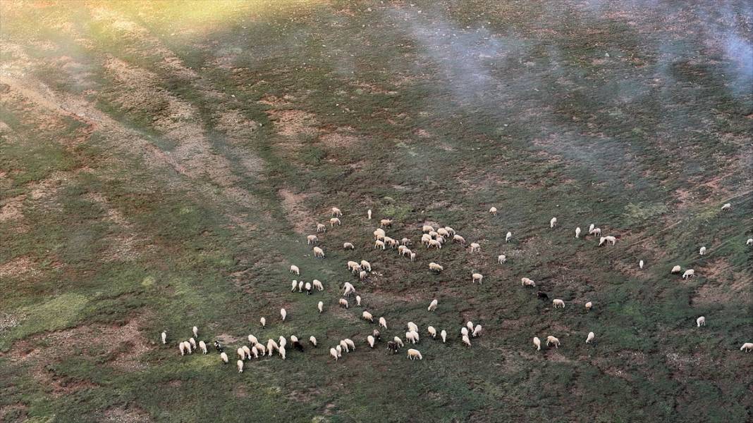 Düzce'nin yaylaları 11
