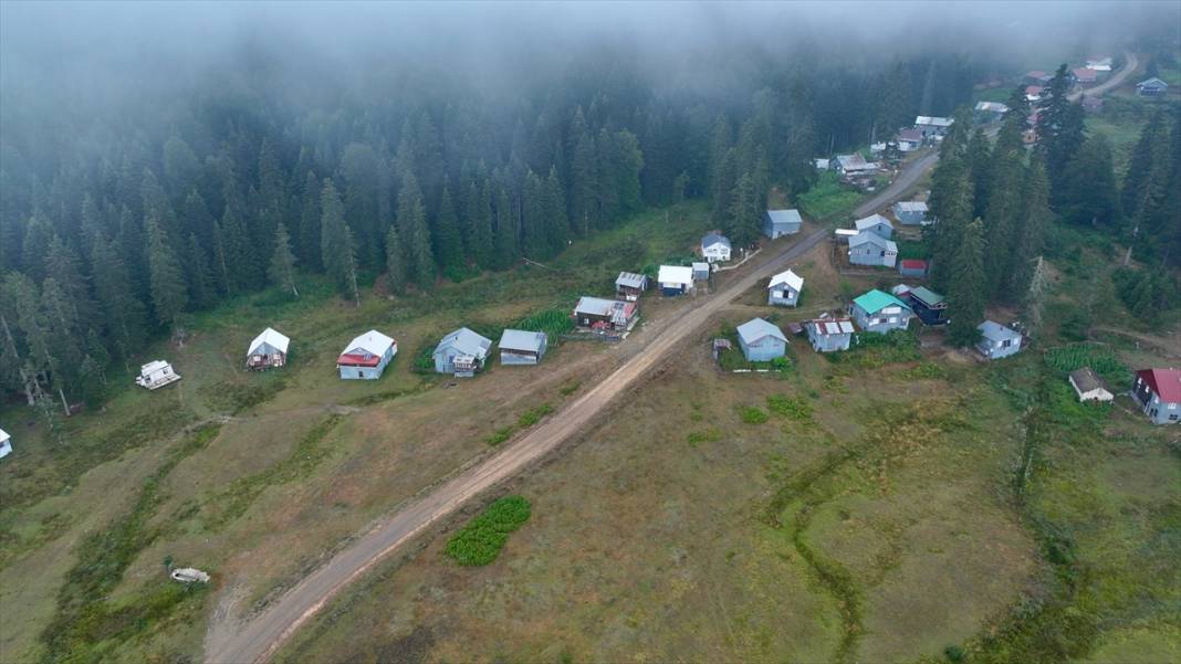 Düzce'nin yaylaları 3