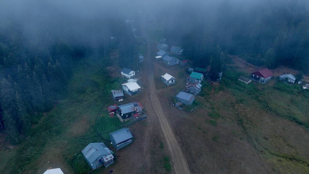 Düzce'nin yaylaları 4