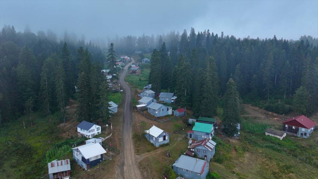 Düzce'nin yaylaları 6