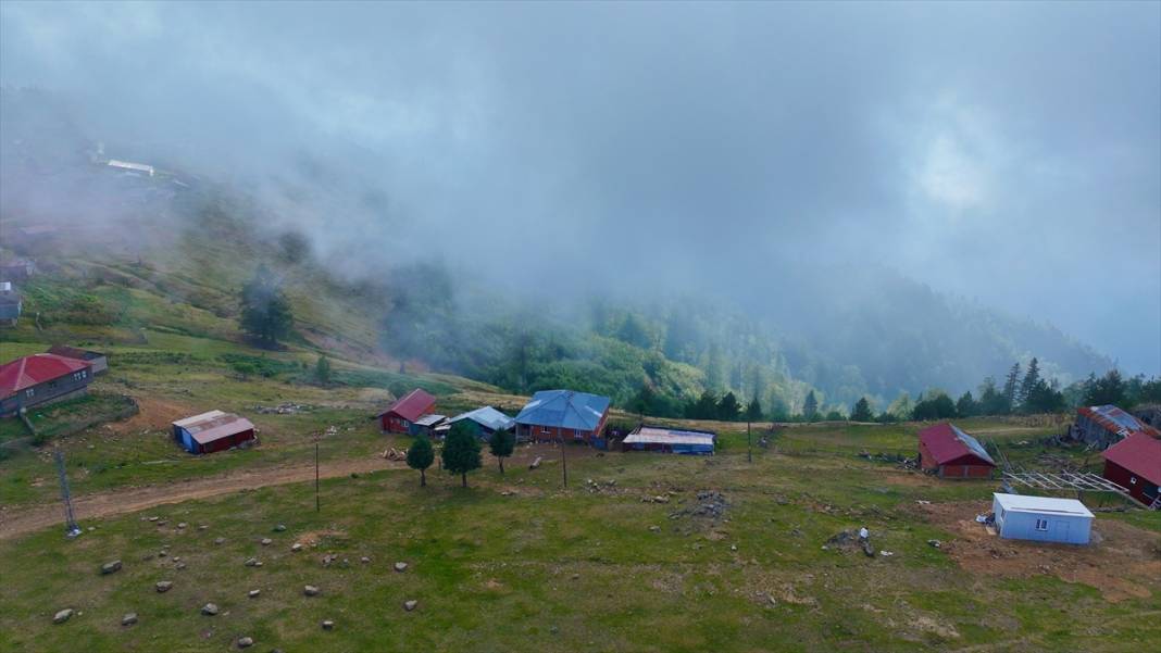 Düzce'nin yaylaları 9