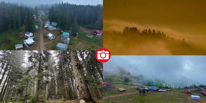 Düzce'nin yaylaları