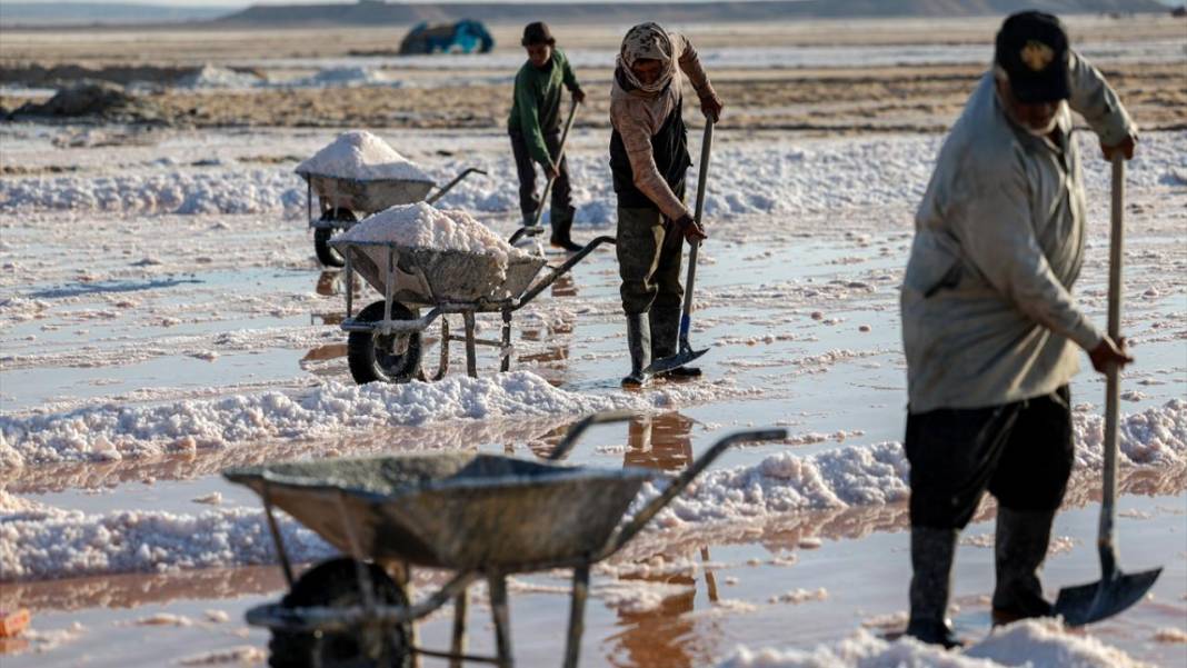 Çölde çalışan işçiler, ekmek parasını tuzdan sağlıyor 14