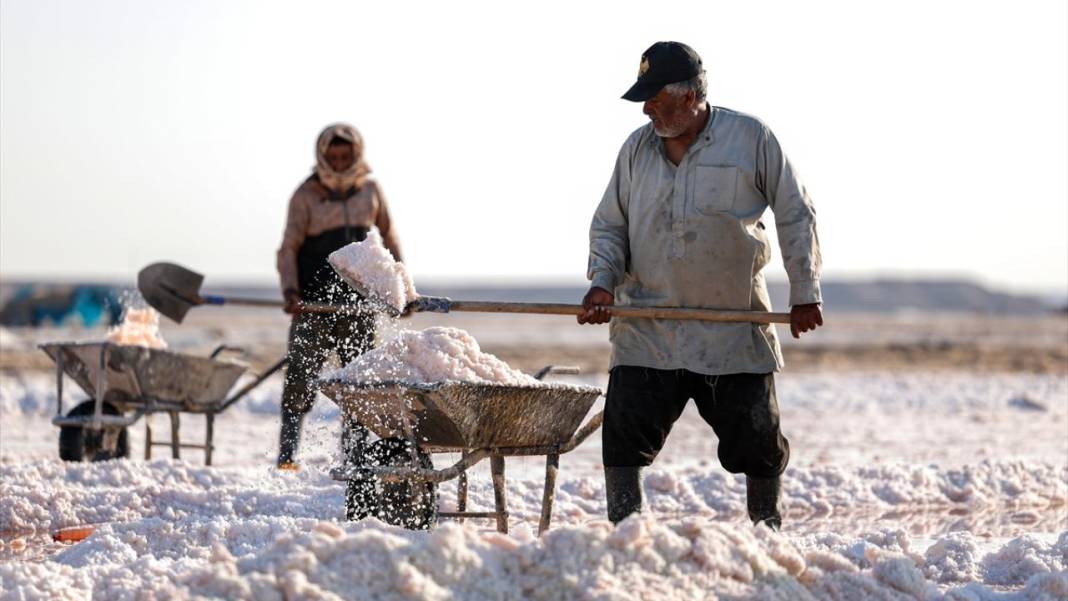 Çölde çalışan işçiler, ekmek parasını tuzdan sağlıyor 5