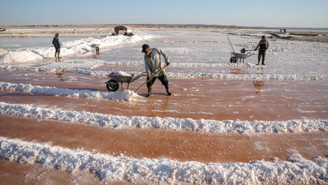 Çölde çalışan işçiler, ekmek parasını tuzdan sağlıyor 6