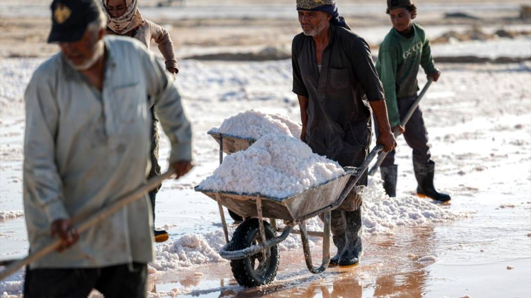 Çölde çalışan işçiler, ekmek parasını tuzdan sağlıyor 7