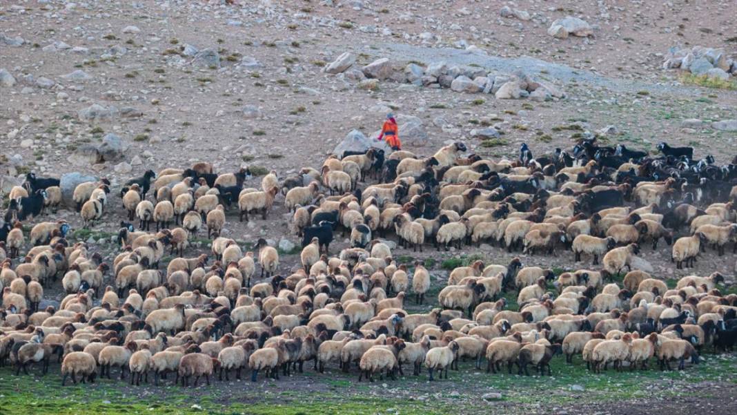 Göçerlerin iki ay sürecek dönüş yolculuğu başladı 4