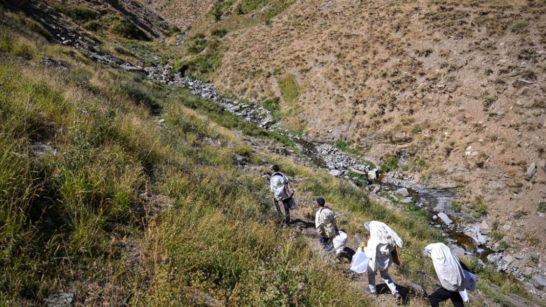 Dağları aşarak ağaç kovuklarındaki 'fıtri bal'a ulaşıyorlar 15