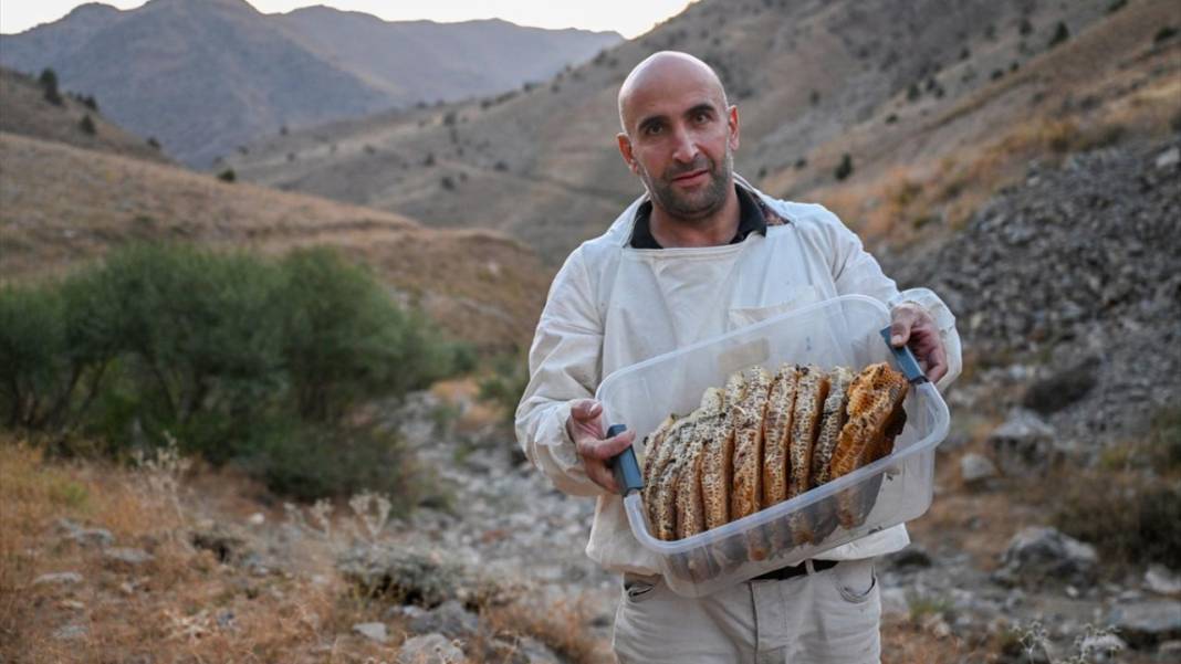 Dağları aşarak ağaç kovuklarındaki 'fıtri bal'a ulaşıyorlar 7