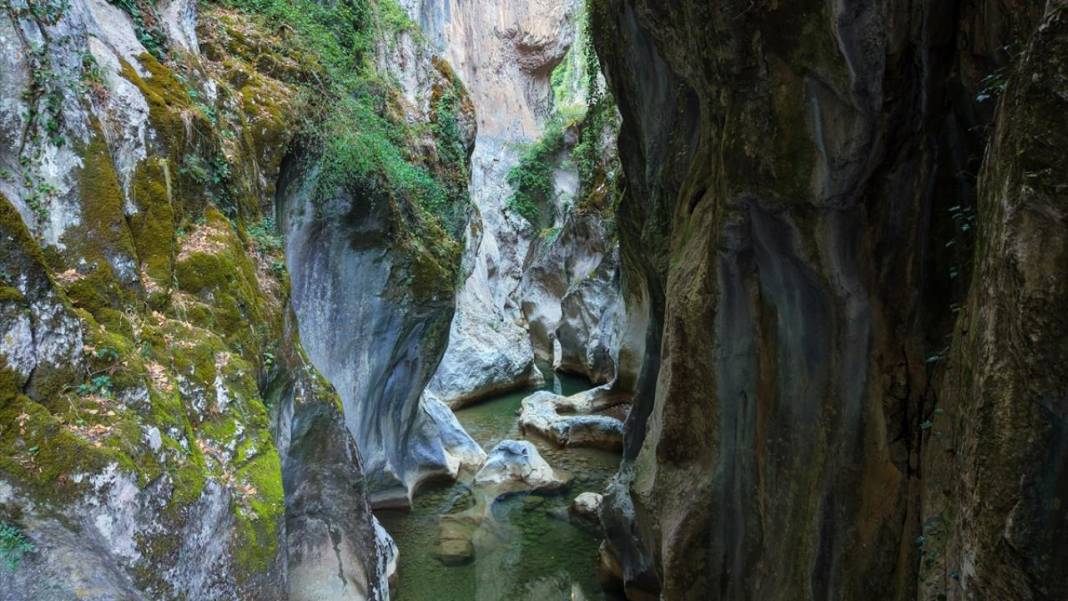 Kastamonu'nun 'saklı cenneti' Saltuklu Kanyonu 8