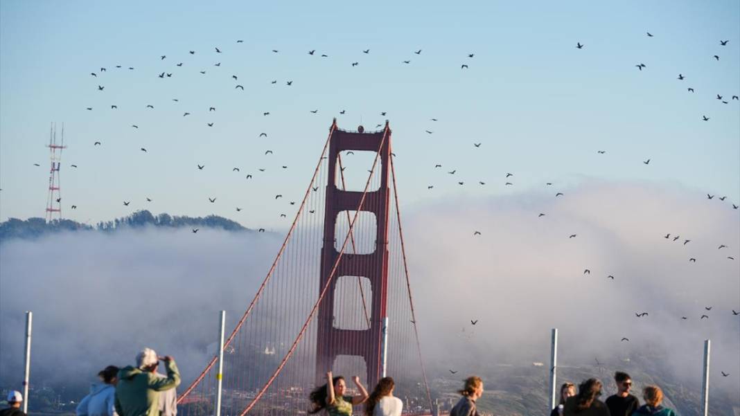 Golden Gate Köprüsü sisle kaplandı 8
