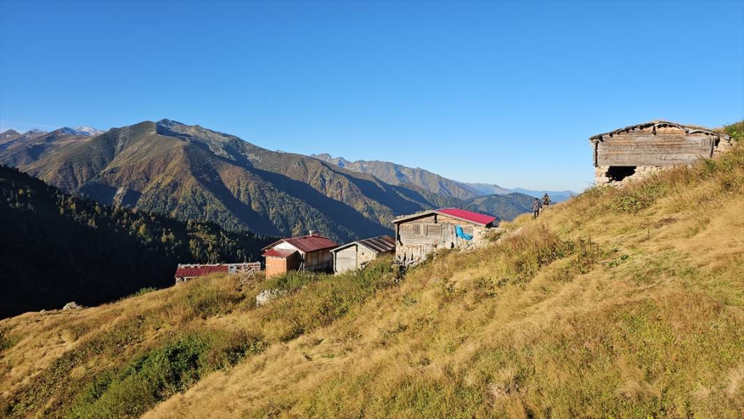 Rize'nin yaylalarında sonbahar renkleri hakim oldu 1