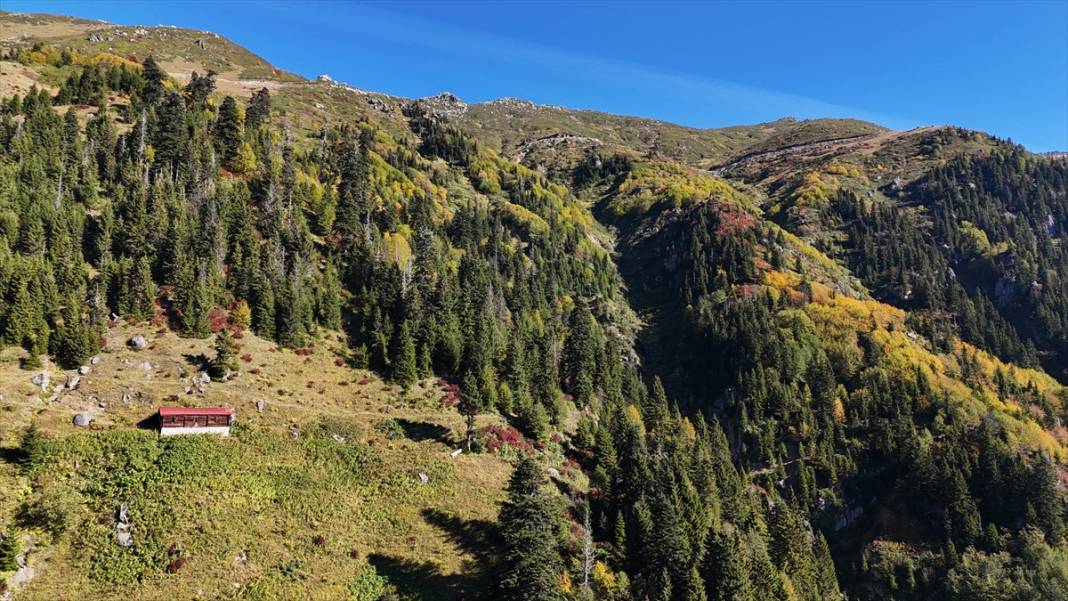Rize'nin yaylalarında sonbahar renkleri hakim oldu 10