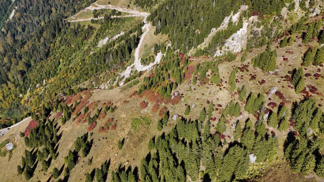 Rize'nin yaylalarında sonbahar renkleri hakim oldu 11