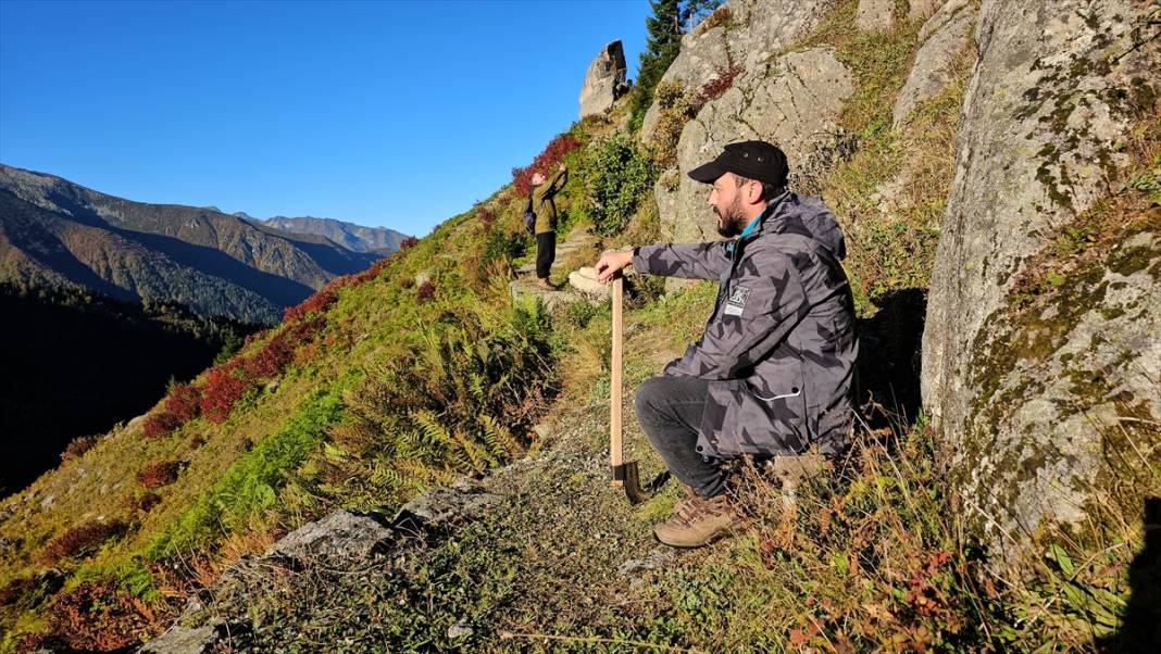 Rize'nin yaylalarında sonbahar renkleri hakim oldu 3