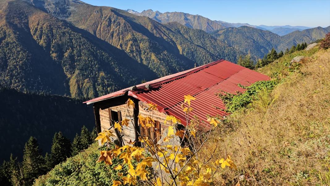 Rize'nin yaylalarında sonbahar renkleri hakim oldu 4