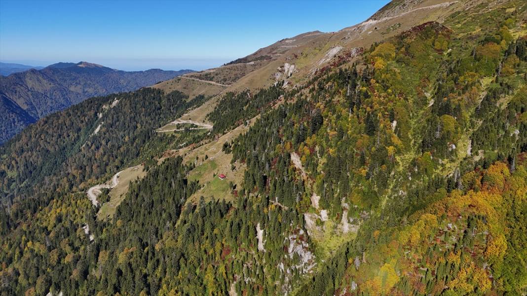 Rize'nin yaylalarında sonbahar renkleri hakim oldu 5
