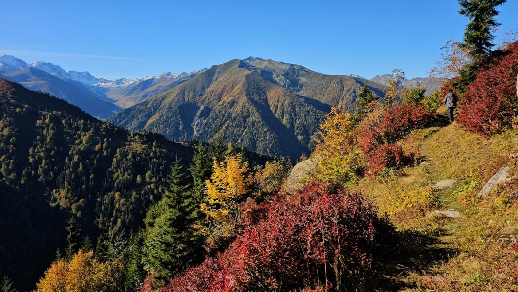 Rize'nin yaylalarında sonbahar renkleri hakim oldu 6