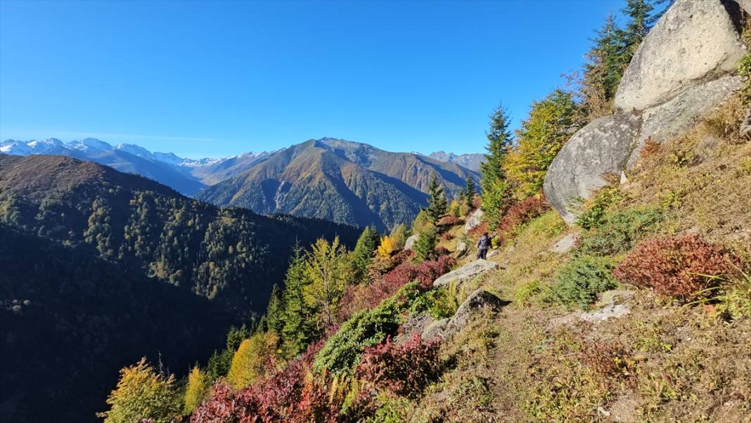 Rize'nin yaylalarında sonbahar renkleri hakim oldu 7