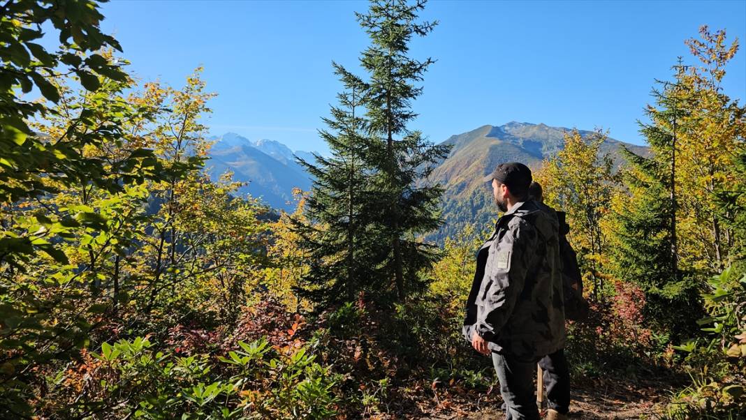 Rize'nin yaylalarında sonbahar renkleri hakim oldu 9