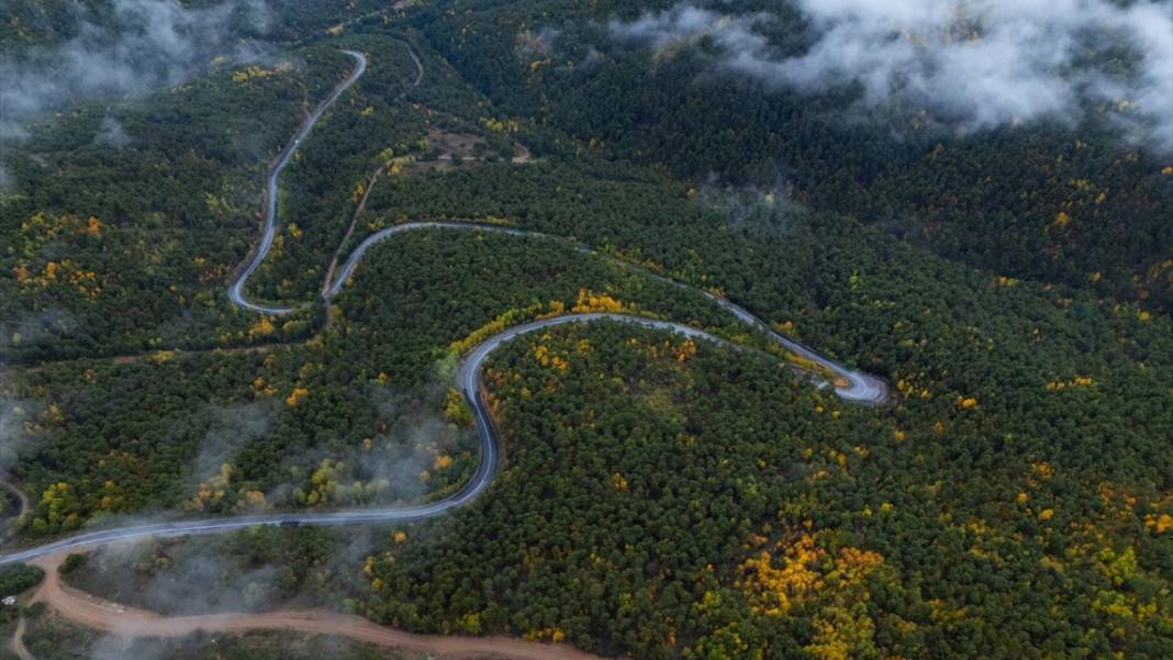 Yozgat'ın ormanlarında sonbahar renkleri 1