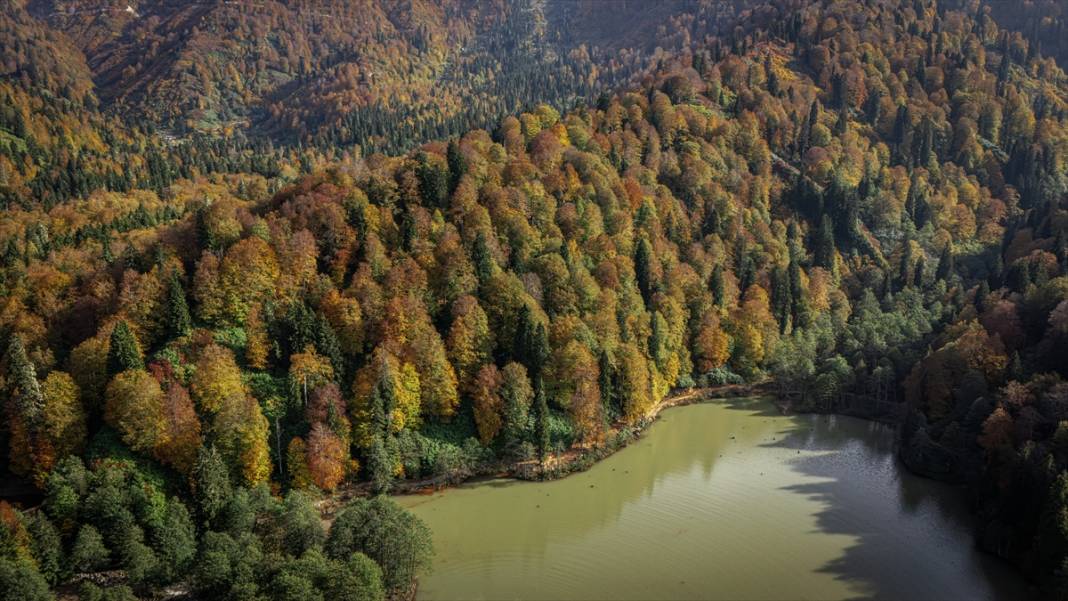 Borçka Karagöl Tabiat Parkı sonbahar renklerine büründü 2